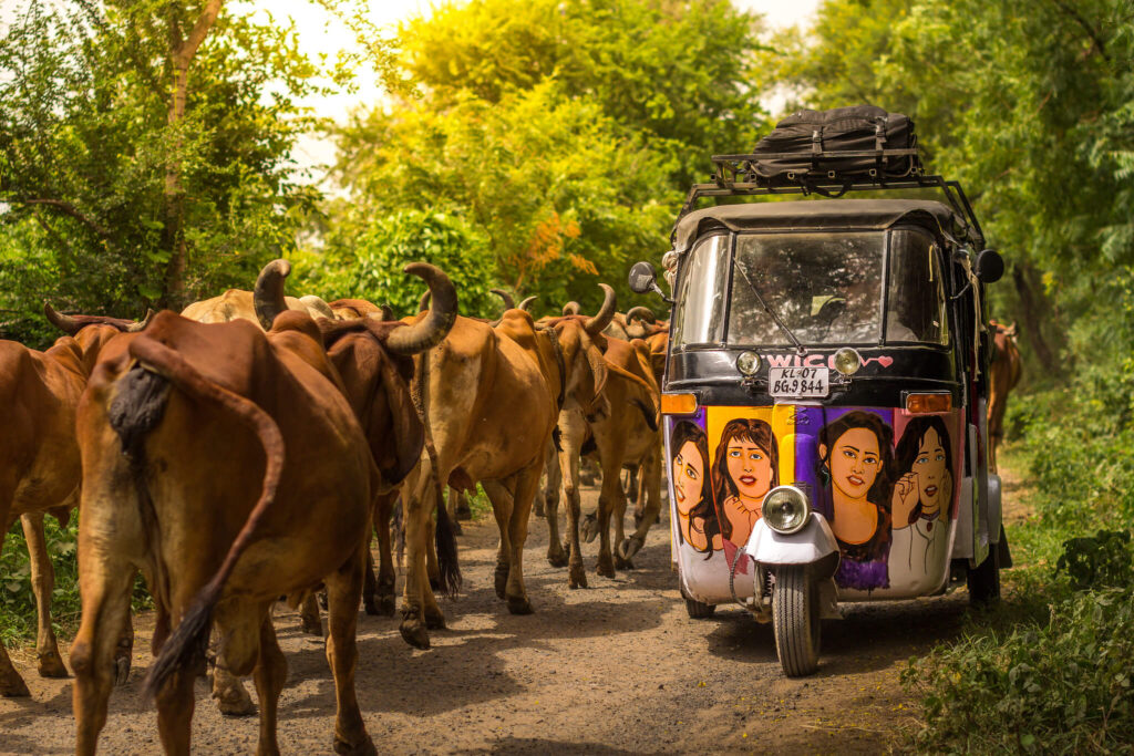 インド リモート撮影インド,